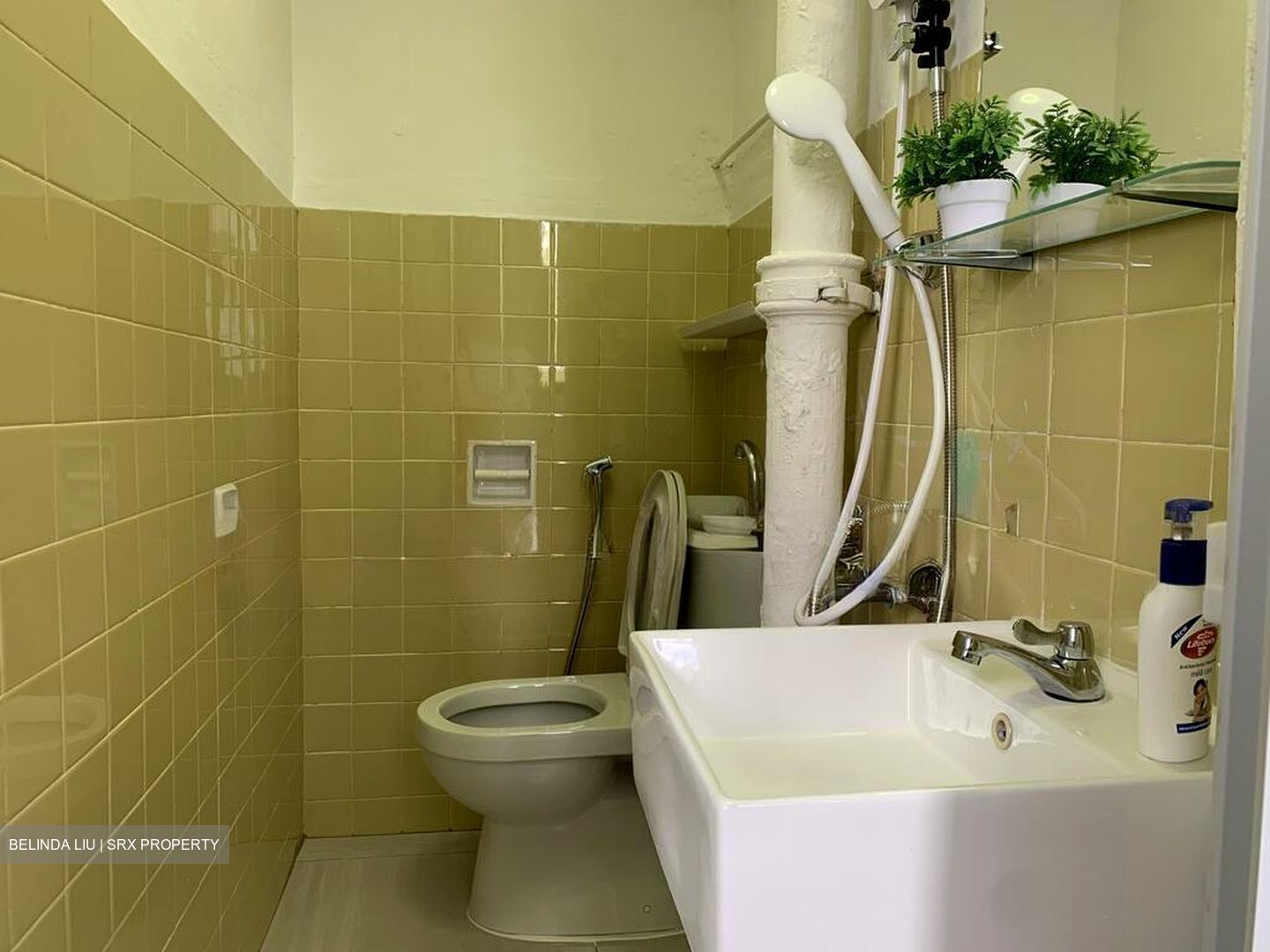 Lagoon View (D15), Apartment #504756011